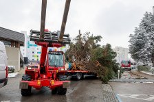 19.11.2022 Christbaum für die Kremser Feuerwehr